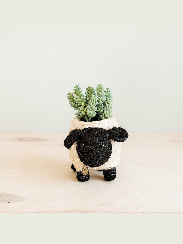 Home DecorBaby Sheep Planter - Coco Coir PotsLIKHÂ