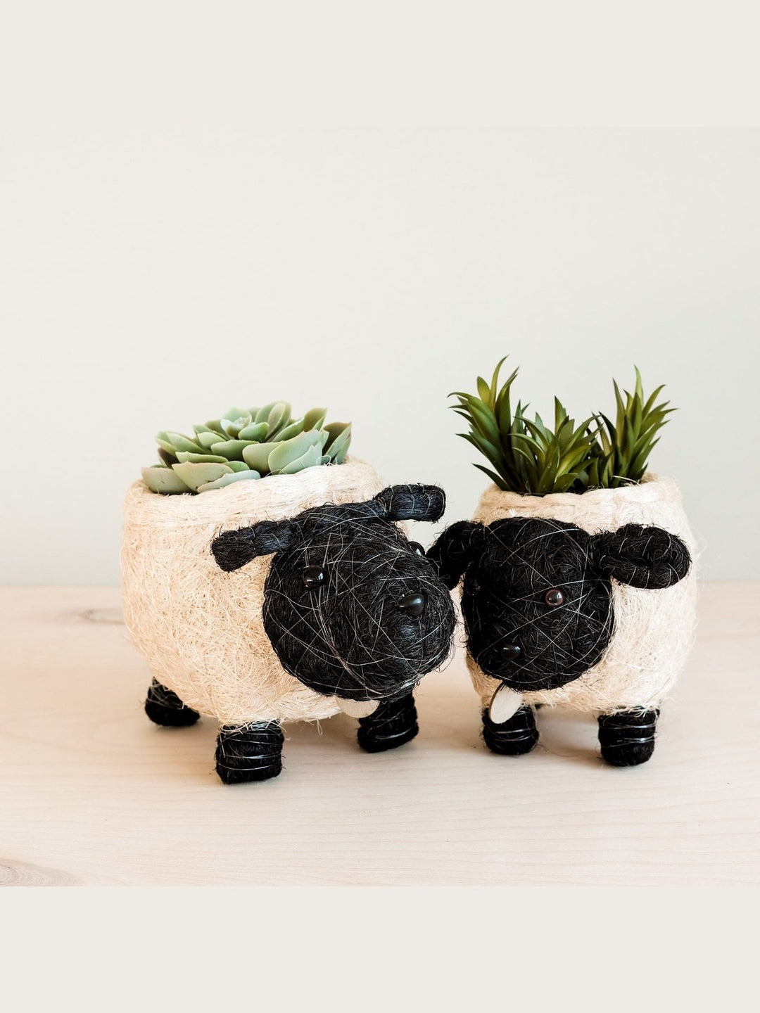 Home DecorBaby Sheep Planter - Coco Coir PotsLIKHÂ