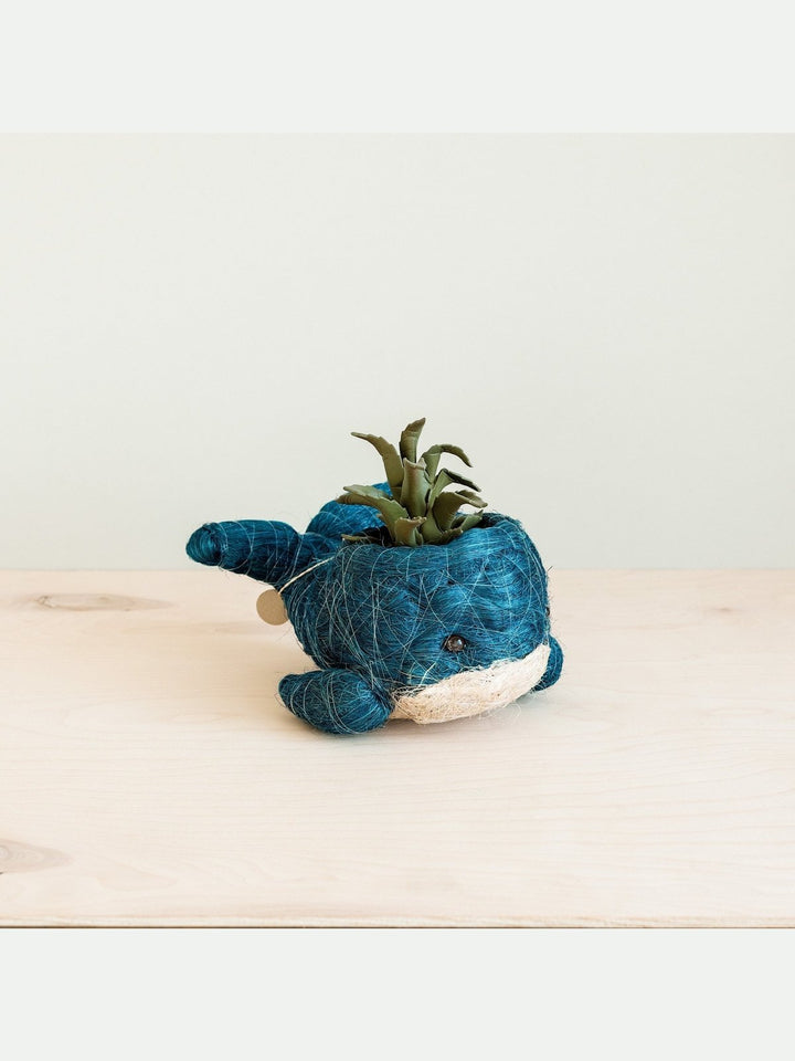 Home DecorBaby Whale Flower Pot - Coco Coir PotsLIKHÂ