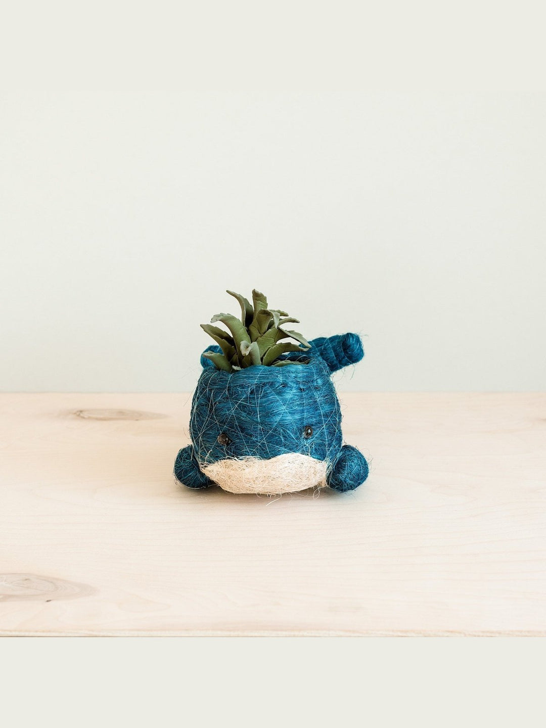 Home DecorBaby Whale Flower Pot - Coco Coir PotsLIKHÂ