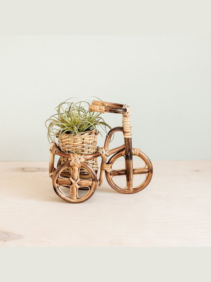 Home DecorBicycle Rattan Planter, medium - Handmade PlantersLIKHÂ