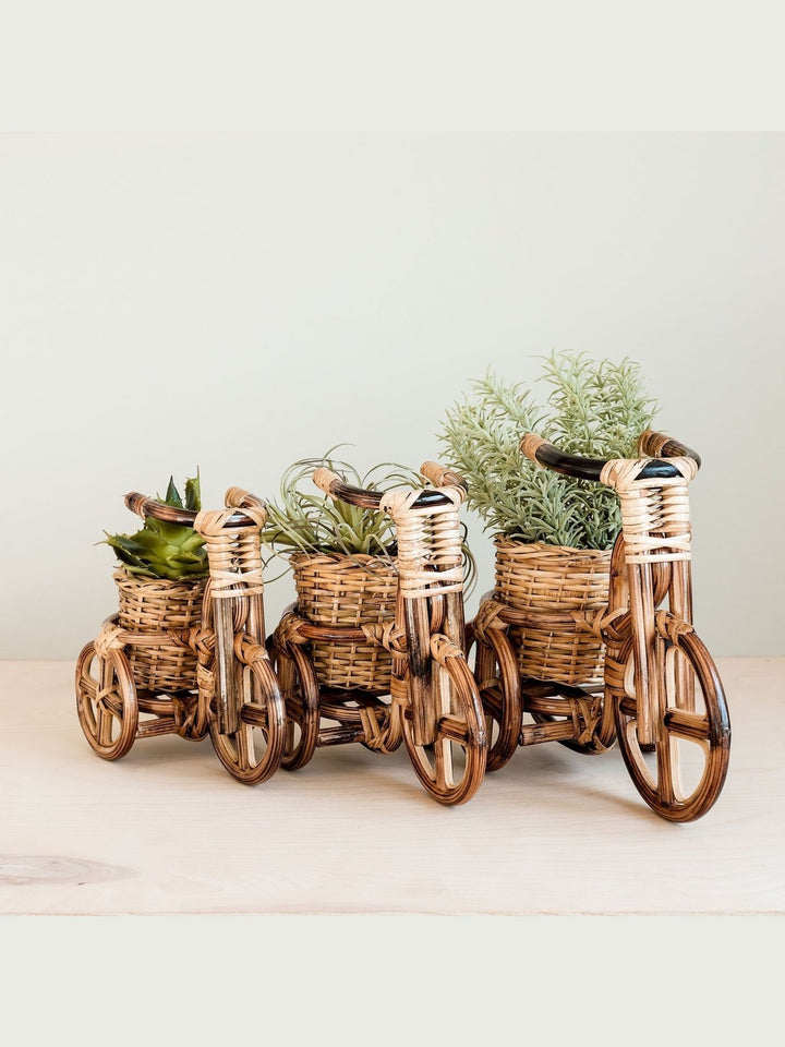 Home DecorBicycle Rattan Planter, medium - Handmade PlantersLIKHÂ