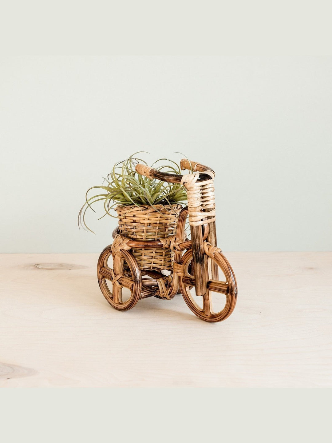 Home DecorBicycle Rattan Planter, medium - Handmade PlantersLIKHÂ