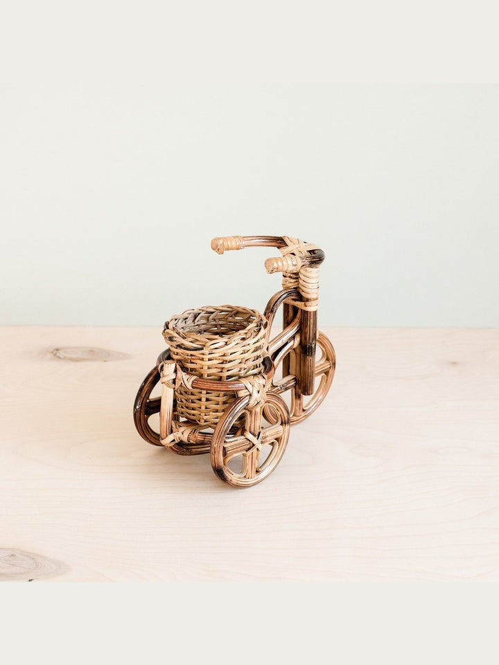 Home DecorBicycle Rattan Planter, medium - Handmade PlantersLIKHÂ