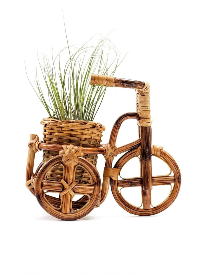 Home DecorBicycle Rattan Planter, medium - Handmade PlantersLIKHÂ