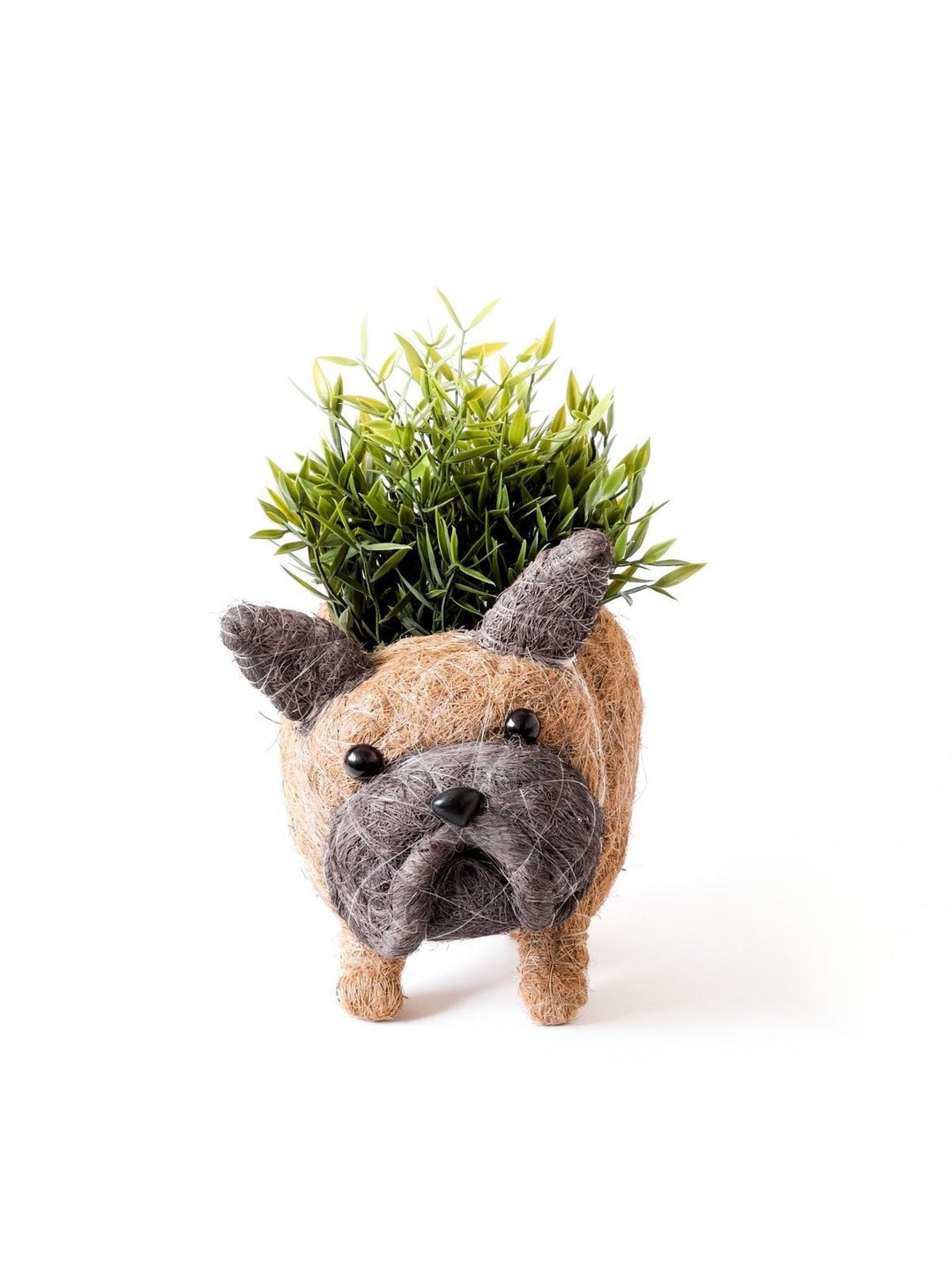 Home DecorFrench Bulldog Planter - Coco Coir PotsLIKHÂ