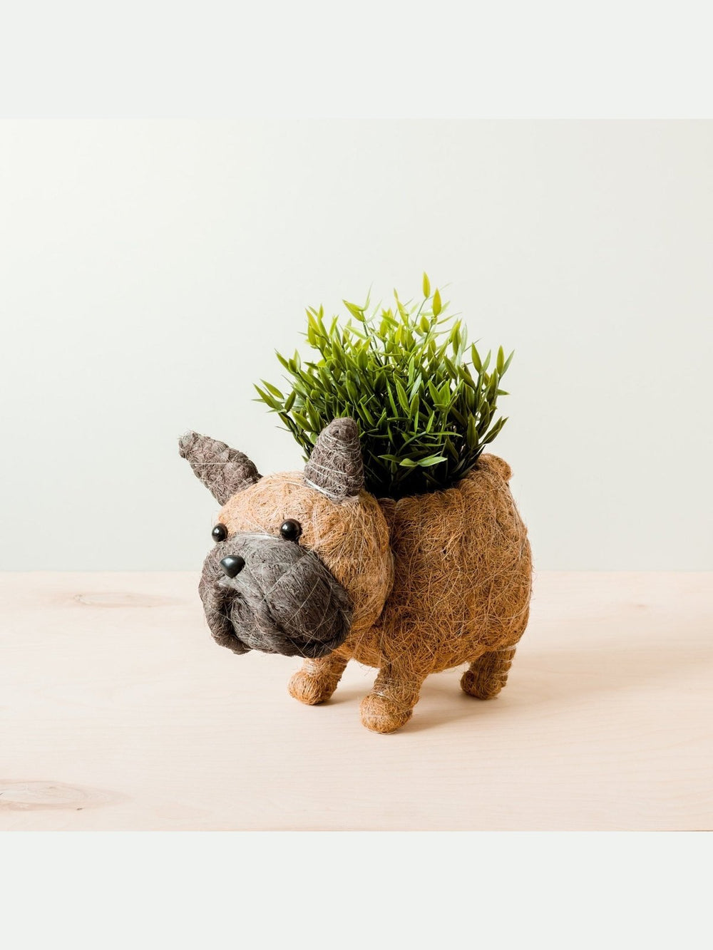 Home DecorFrench Bulldog Planter - Coco Coir PotsLIKHÂ