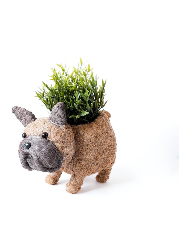 Home DecorFrench Bulldog Planter - Coco Coir PotsLIKHÂ