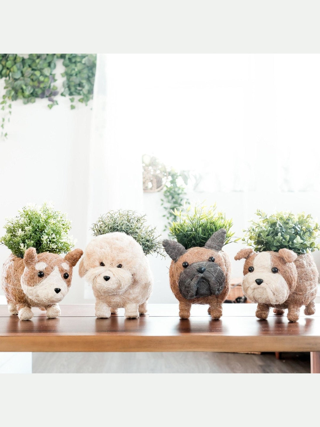 Home DecorFrench Bulldog Planter - Coco Coir PotsLIKHÂ