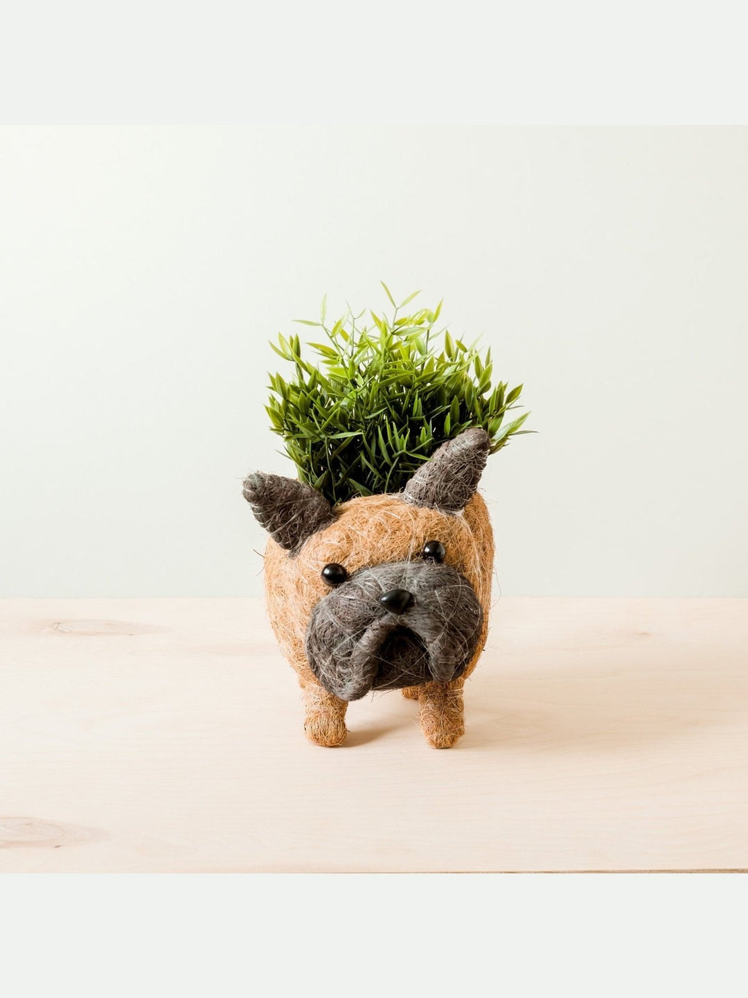 Home DecorFrench Bulldog Planter - Coco Coir PotsLIKHÂ