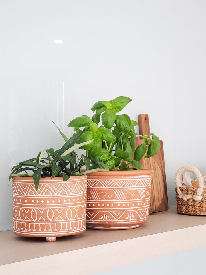 Home DecorHand Etched Terracotta Pot - LargeKorissa