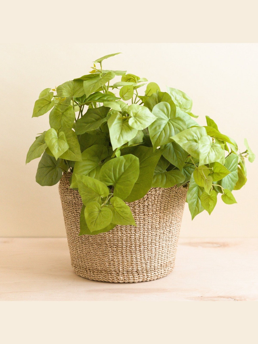 Home DecorNatural Scallop Basket - Planter BasketLIKHÂ