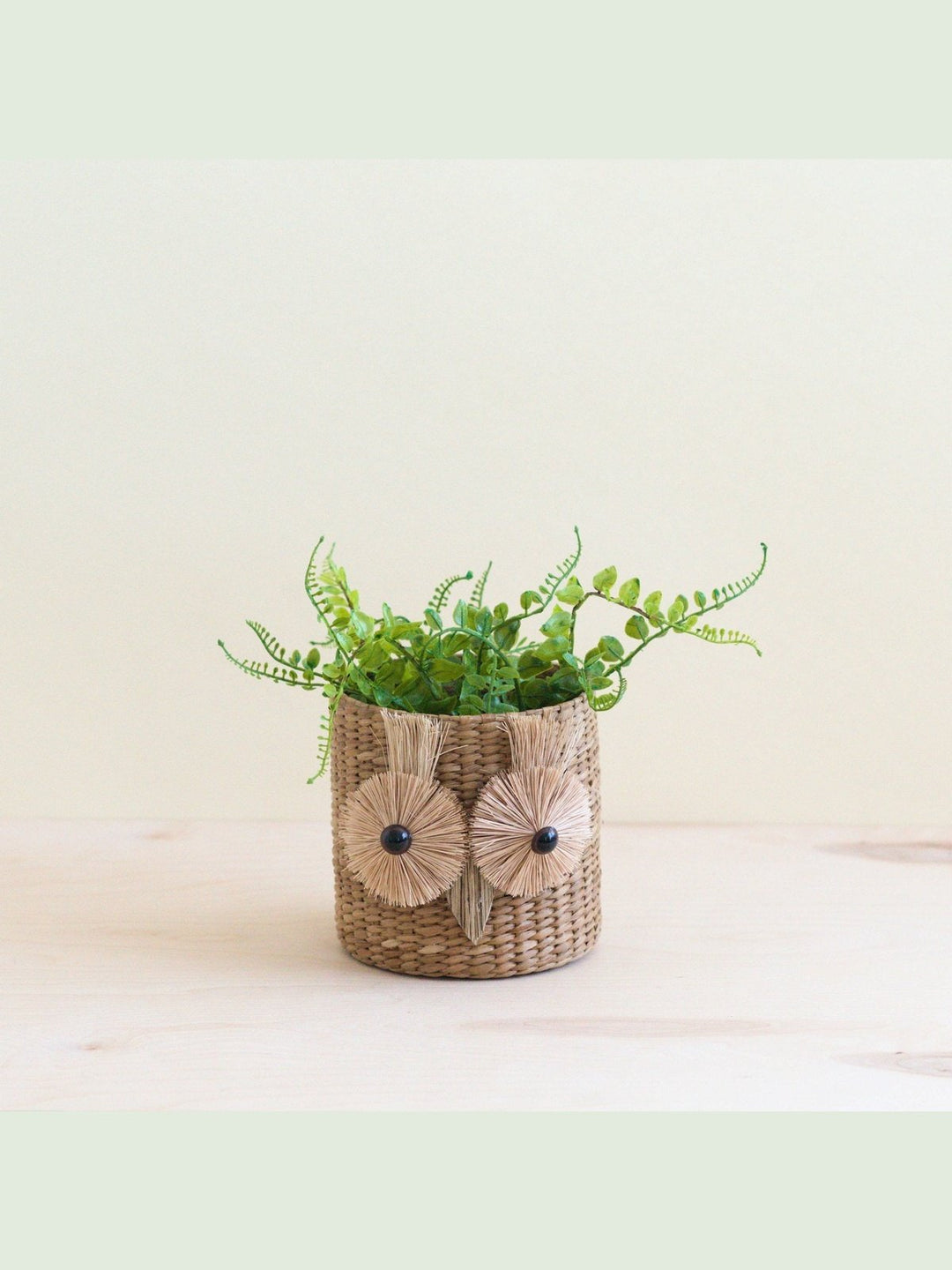 Home DecorOwl 6" Seagrass Basket Planter - Succulent Plant PotLIKHÂ