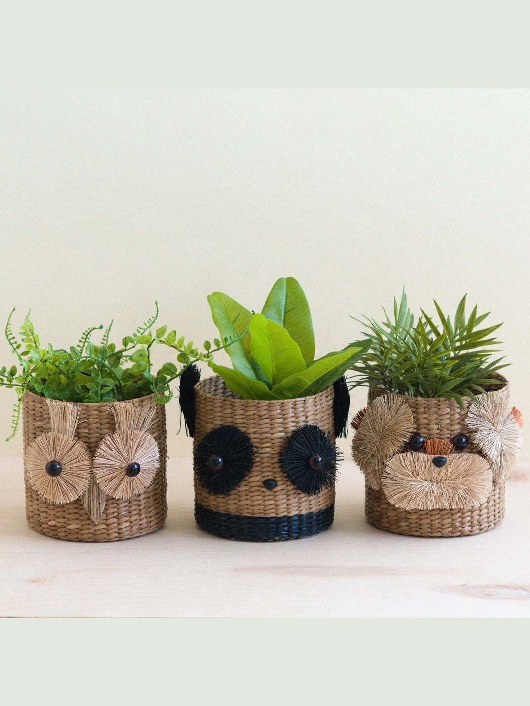 Home DecorOwl 6" Seagrass Basket Planter - Succulent Plant PotLIKHÂ