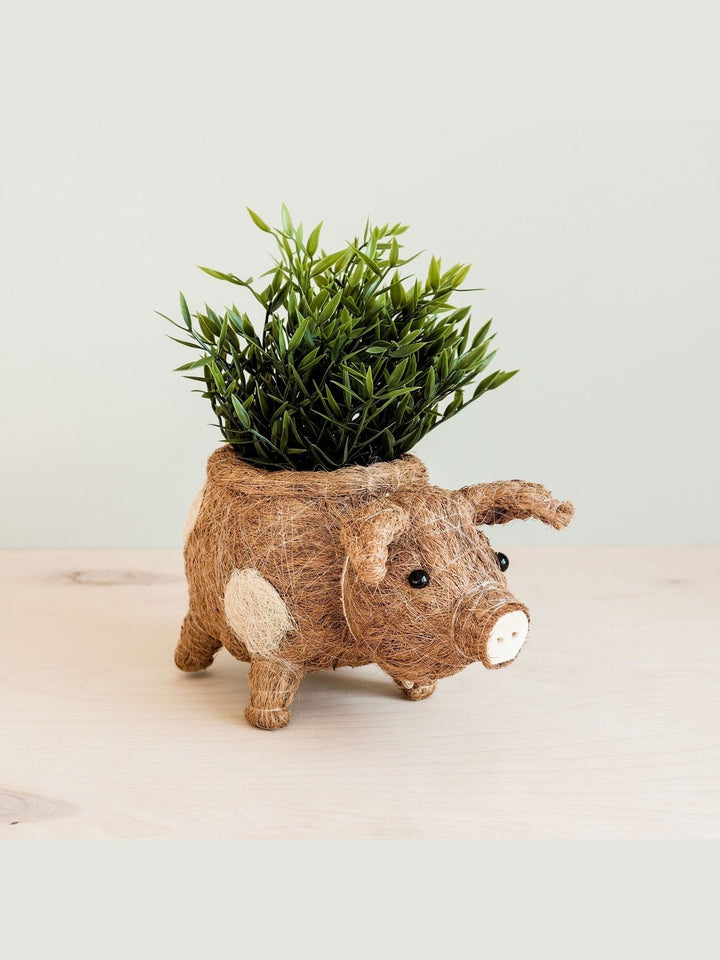 Home DecorPig Planter - Coco Coir PotsLIKHÂ