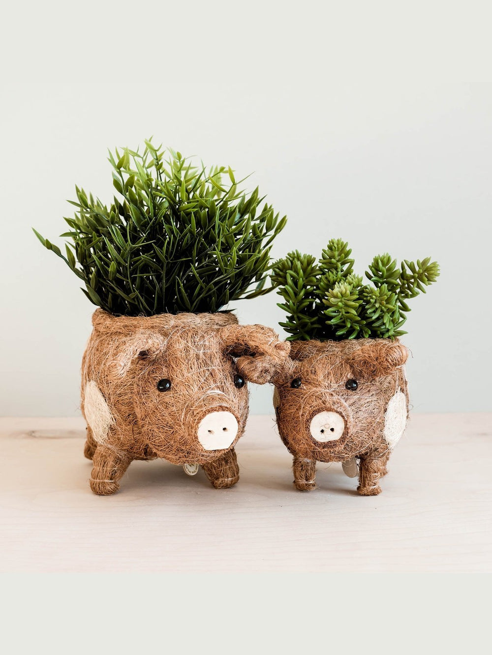 Home DecorPig Planter - Coco Coir PotsLIKHÂ