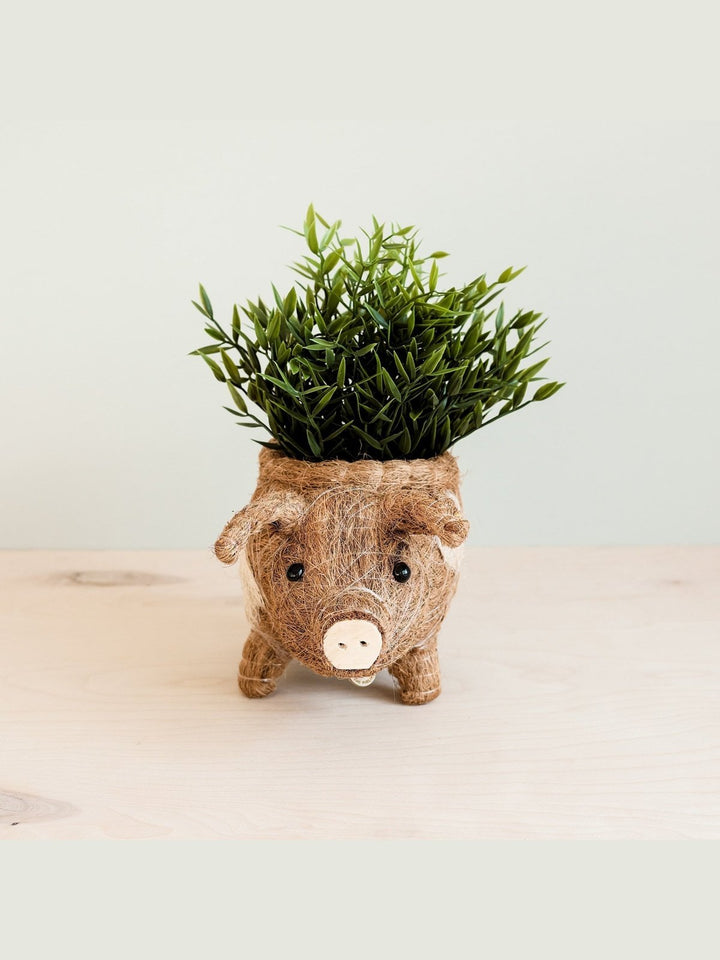 Home DecorPig Planter - Coco Coir PotsLIKHÂ