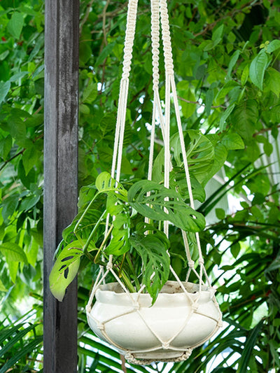 Home DecorPretty Simple Hand-Knotted Plant HangerOne 'O' Eight Knots