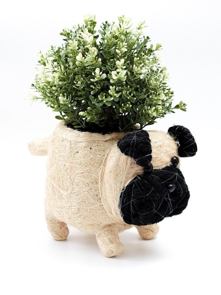 Home DecorPug Planter - Coco Coir PotsLIKHÂ