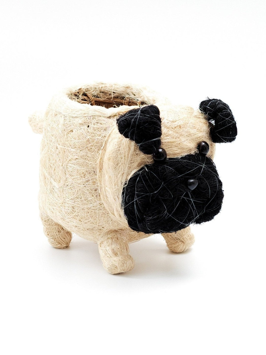 Home DecorPug Planter - Coco Coir PotsLIKHÂ