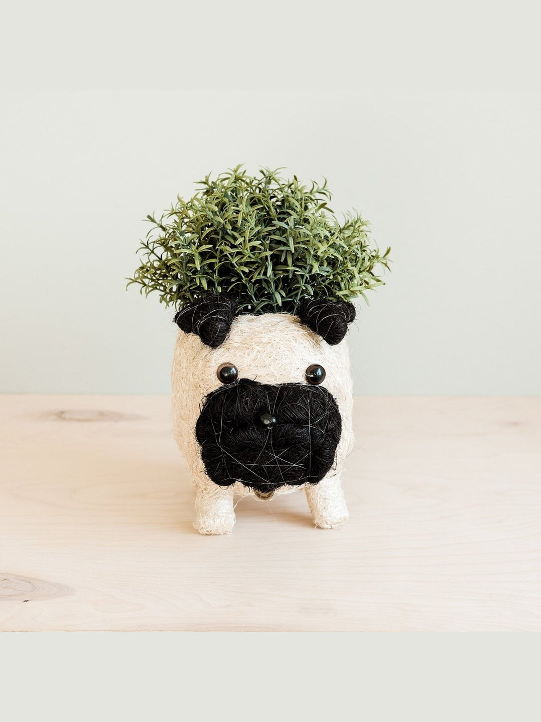 Home DecorPug Planter - Coco Coir PotsLIKHÂ