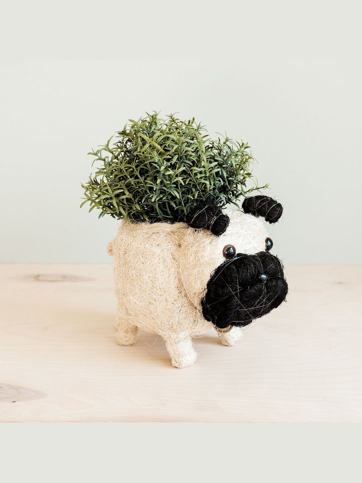 Home DecorPug Planter - Coco Coir PotsLIKHÂ