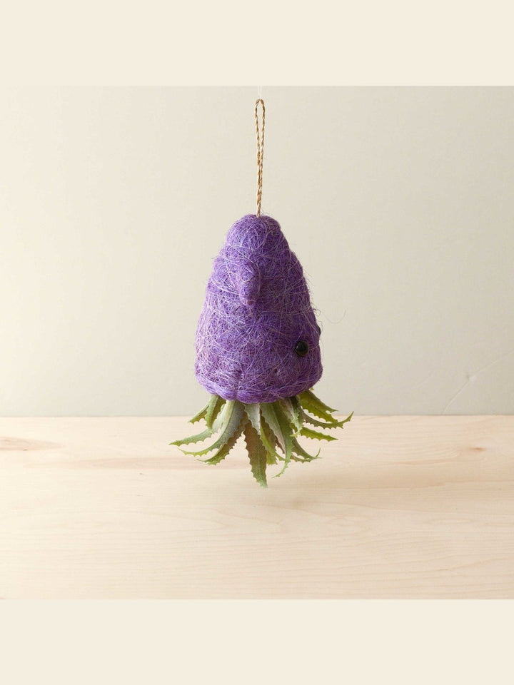 Home DecorSquid Hanging Planter for Air Plants - Handmade Plant PotLIKHÂ