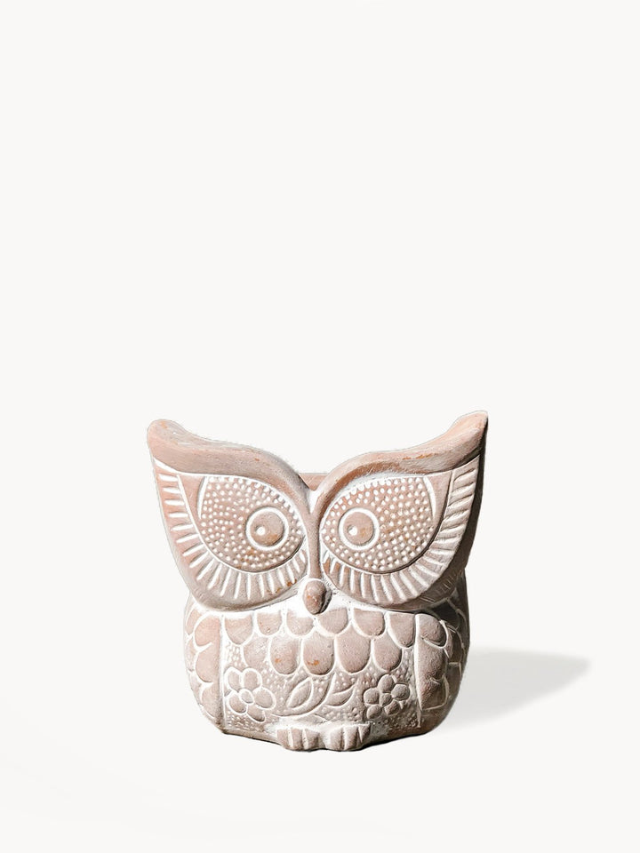 Home DecorTerracotta Pot - Big Eye OwlKorissa