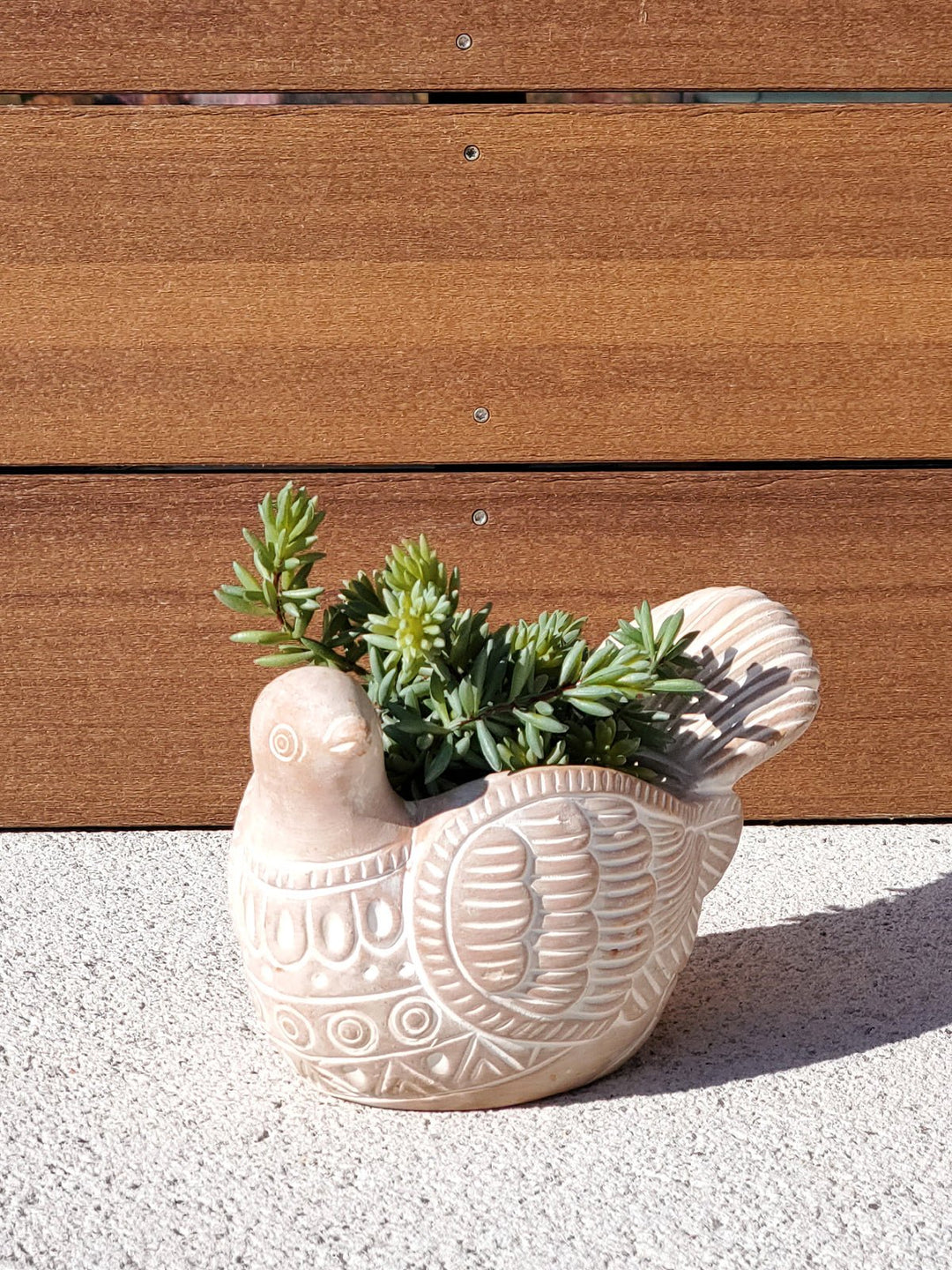 Home DecorTerracotta Pot - Turtle DoveKorissa